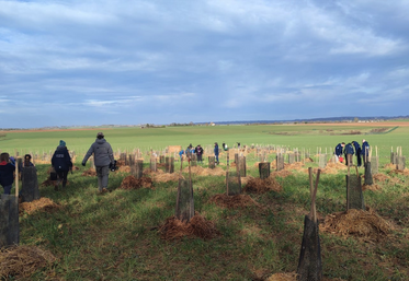 45 salariés du parc ont participé à cette plantation, à Neuville-de-Poitou.