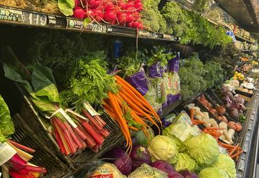 L'objectif serait de fournir les étals des supermarchés charentais avec des légumes produits localement.