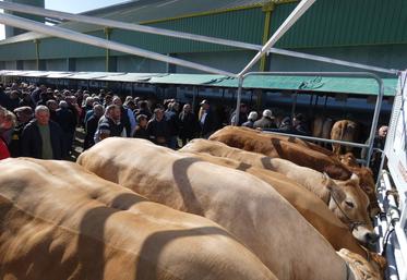 Rendez-vous est donné le lundi 16 mars. 