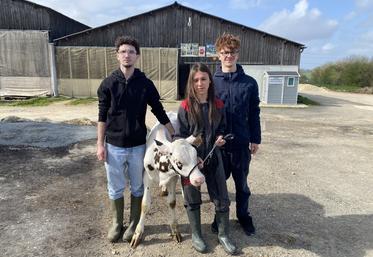 Arthur Crochet, Abbygaël Lamoureux et Benjamin Augeraud se préparent pour accueillir la journée de formation dédiée au concours. 