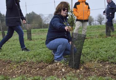 Laetitia Plumat, présidente de la Chambre d'agriculture de la Charente, a planté 3 000 oliviers sur ses terres en 2024.