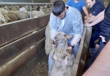 La reproduction est une affaire d'anticipation et de rigueur technique.