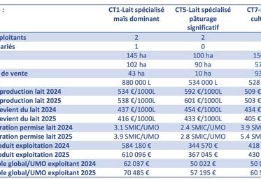 Résultats de trois cas-types représentatifs des systèmes laitiers du Poitou-Charentes. Coût de production = somme de toutes les charges affectées au lait y compris rémunération des exploitants à 2 SMIC/UMO. Prix de revient = coût de production - produit viande et SFP - aides.