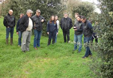Une visite de terrain a permis de découvrir une truffière, où l'on distingue les contours du "brûlé" où peuvent être trouvées les truffes.