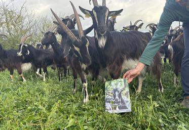 Les données techniques des chèvres poitevines sont désormais disponibles dans un guide.