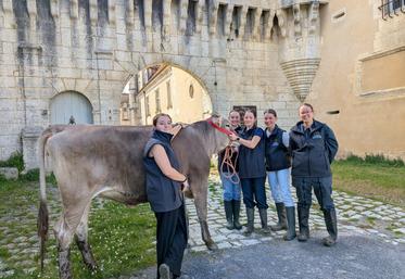 Cinq jeunes femmes participent au Trophée Aquitanima Junior avec Upsia, Brune des Alpes : Noëlyne, Inès, Lilou, Maëlane et Manon.