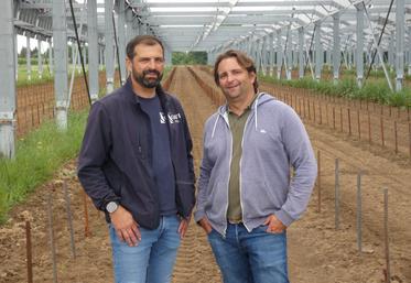 Alexis et David Moreau accueillent cette parcelle agrivoltaïque de 4,4 ha sur leur exploitation.