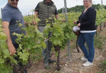 Au centre, Lionel Berruchon, viticulteur à Montchaude. Il a pu compter sur l'aide de l'association Solidarité Paysans (représentée par son président, Jean-Loup Mercier à gauche et Fabienne Maudet à droite) quand les premières difficultés financières sont apparues.