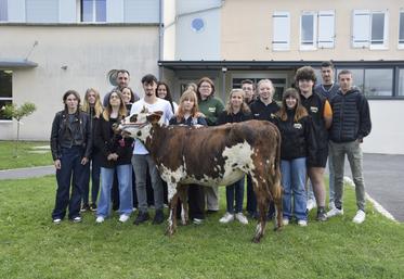 Les élèves de terminale BAC CGEA de La Péruse posent avec Vanille, une normande qui a été exposée le week-end dernier à Aigre.