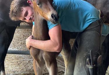 Chez Harry Ayto, un poulain est né le 6 juin à Chassiecq : Quibble Not Sonnette.
