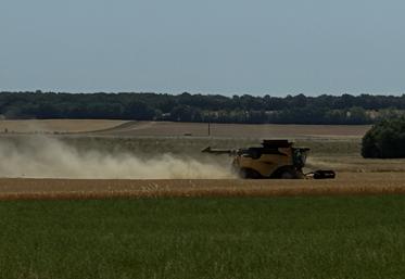 Les moissons se poursuivent, dans des conditions difficiles.