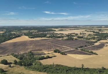 28 hectares d'orge ont été détruits.