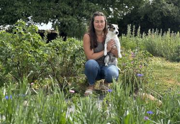 Charline Aguillon cultive ses plantes aromatiques et médicinales sur une parcelle de 1 500 m2 à Valdivienne. 