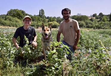Cheyenne Defontaine et Alexis Blanchet sur le site de maraîchage de leur GAEC à Cellefrouin.