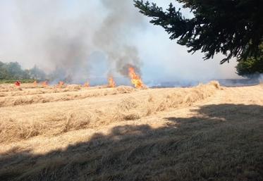 Le feu de Roussines s'est déclenché le 12 juillet. En tout, une douzaine d'agriculteurs sont arrivés sur les lieux de l'incendie avec déchaumeurs et tonnes à eau. 80 pompiers et un hélicoptère Puma ont été mobilisés.