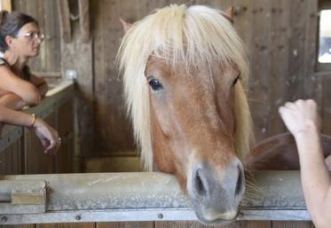 Les participants à la deuxième commission équine ont visité le Haras des Quatre Vents à Roumazières, élevage de chevaux islandais.