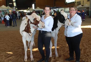 Plus d'une cinquantaine de vaches Prim'Holstein devraient participer au concours régionale