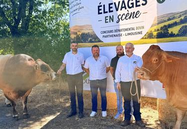 Les présidents des syndicats des races Parthenaise et Limousine des Deux-Sèvres présentent Élevages en scène à Bressuire.
