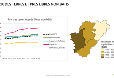 Prix des terres et des prés libres non bâtis en 2025 en Charente