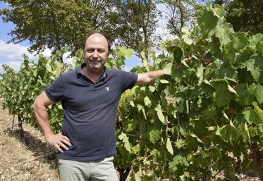 David Ramnoux compte dix hectares de vignes à Mareuil.