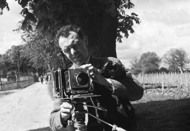 Doisneau par Doisneau dans les vignes de Cognac.