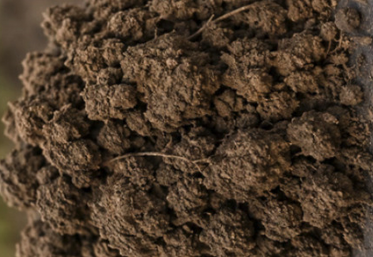 Structure de sol "grumeleuse", idéale car permettant une bonne rétention de l'eau et des éléments nutritifs, un bon drainage, une bonne aération, un bon développement du système racinaire des végétaux, un travail facile du sol, un réchauffement rapide du sol au printemps. Une bonne activité biologique du sol. Une bonne résistance à l'érosion et à la compaction.