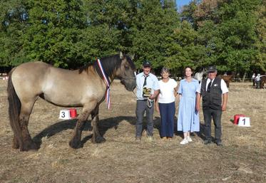 Daniel Simon Bouhet, éleveur à Lavausseau, a remporté le Trophée Baussay, avec Okaline de la Chatre.
