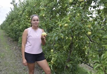 Victoria Sauvaitre dans un verger de Belchard Chanteclerc au Tastet, à Reignac.