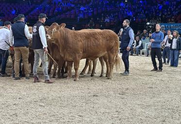 Alexandre Humeau ( à droite) a jugé vendredi après midi les animaux qui concourraient pour leurs qualités bouchères.
