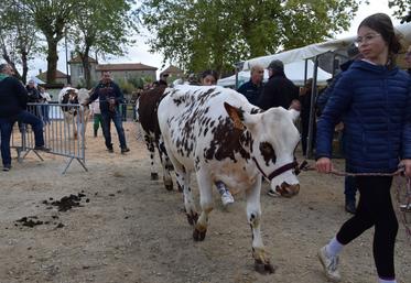 Le public n'a pas boudé son plaisir en venant à la rencontre des éleveurs et de leurs animaux.