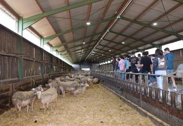 Les élèves du MFR-CFA La Grange découvrent les lumières installées dans le bâtiment pour le photopériodisme.