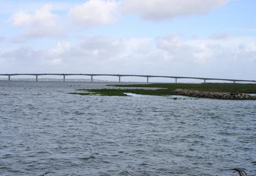 Malgré les 16 M€ d'entretien dépensés depuis 1991, le pont, emprunté par 3 millions de véhicules chaque année, nécessite un chantier de rénovation d'ampleur.