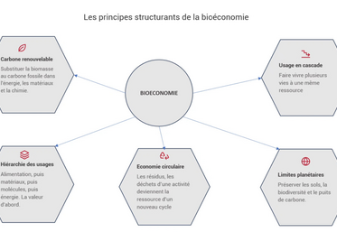 Les principes structurants de la bioéconomie