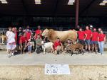 Les JA du canton donnent rendez-vous, samedi 1er août pour la journée "À la ferme, c'est Marans". 
