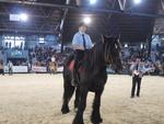 François Ressegand  était particulièrement investi à la Ferme s'Invite. Ici en 2014.