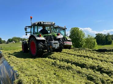 Tassage du silo d'ensilage