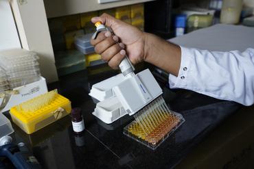 <em class="placeholder">Test Elisa</em>