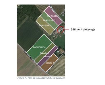 <em class="placeholder">Plan du parcellaire dédié au pâturage</em>