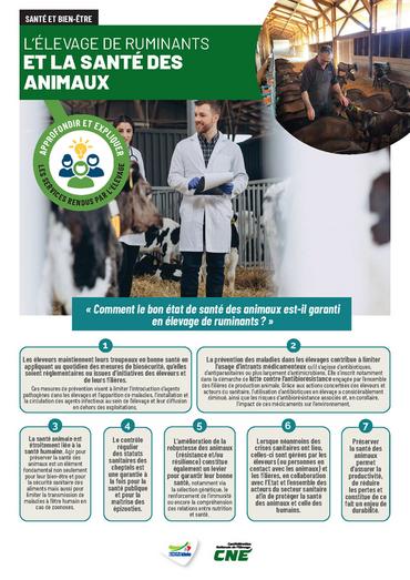 <em class="placeholder">L’élevage de ruminants et la santé des animaux</em>