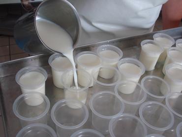 <em class="placeholder">Fabrication de yaourts</em>