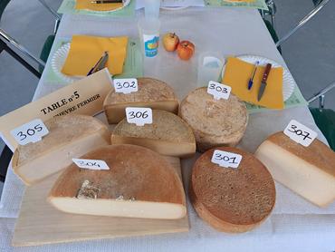 Tomme de chèvre