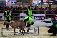 Concours de jugement des chèvres par les jeunes au salon de l'agriculture