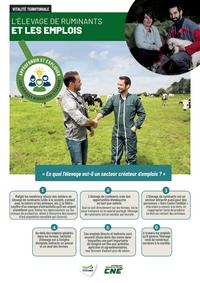 <em class="placeholder">Fiche sur l&#039;emploi et l&#039;élevage de ruminants</em>