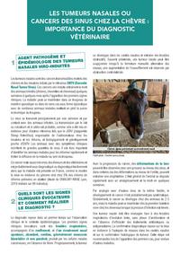 <em class="placeholder">Fiche sur les tumeurs nasales pour les vétérinaires</em>