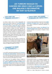 <em class="placeholder">Fiche sur les tumeurs nasales pour les éleveurs de chèvres</em>