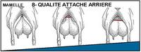 <em class="placeholder">Extrait de la Grille de pointage des reproducteurs caprins Capgenes</em>