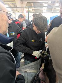 Epreuve du parage de Capr'I Cup lors du Capr'Inov 2025 à Niort