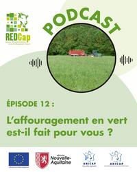<em class="placeholder">Affiche du podcast redcap</em>