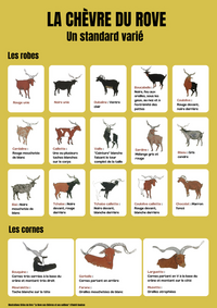 <em class="placeholder">Affiche sur les chèvres du Rove</em>