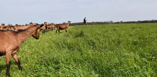 Si les systèmes valorisant l'herbe  et les légumineuses sont souvent les plus autonomes, ils ne sont pas toujours accessibles. Et il existe des gains d'autonomie dans tous les types de rations.